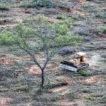 deforestacion-de-bosque-nativo-en-el-norte-de-Argentina-696x464