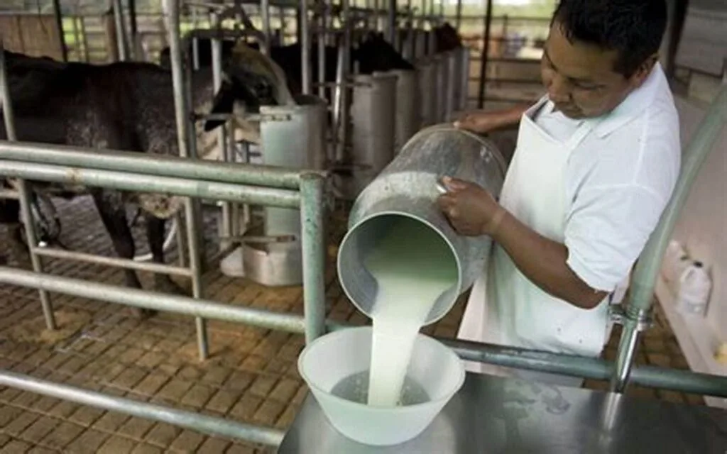 Advierten impacto negativo en 17.000 productores por freno a fondo “ProLeche” en el Legislativo