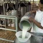 Advierten impacto negativo en 17.000 productores por freno a fondo “ProLeche” en el Legislativo