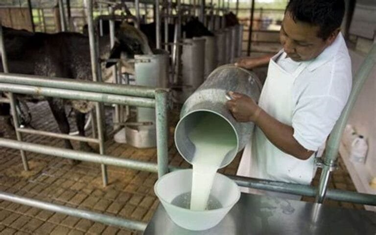Advierten impacto negativo en 17.000 productores por freno a fondo “ProLeche” en el Legislativo