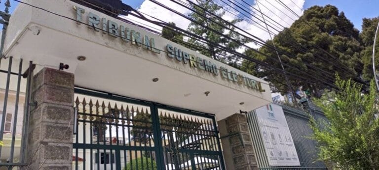TSE tiene 3 días hábiles para revisar documentación de alianzas política