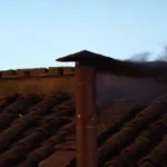 Fumata negra marca el cónclave; no hay acuerdo inicial para elegir al papa