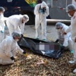 Especialistas investigan muerte de adolescente encontrado entre objetos de “rituales satánicos”