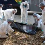 Especialistas investigan muerte de adolescente encontrado entre objetos de “rituales satánicos”