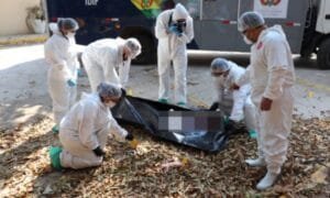 Especialistas investigan muerte de adolescente encontrado entre objetos de “rituales satánicos”